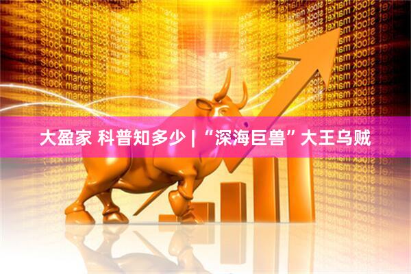 大盈家 科普知多少 | “深海巨兽”大王乌贼
